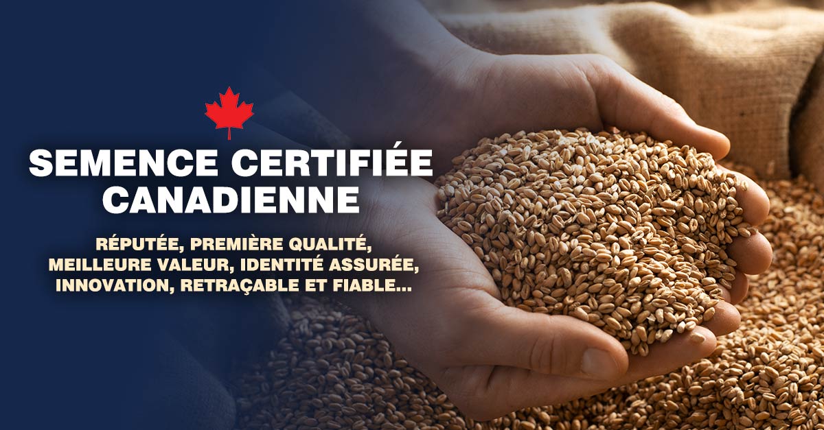 Qu'est-ce qu'une semence canadienne certifiée